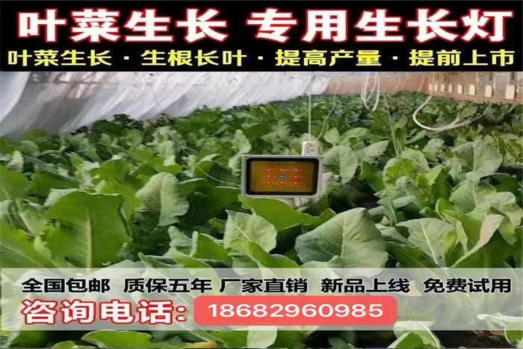 098de6930eaeb99b725571da28f72b8.jpg