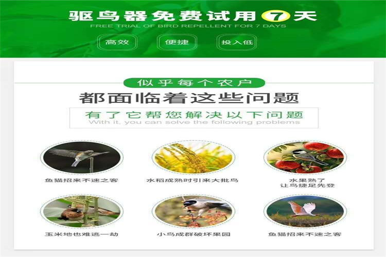 3e3952796ec320f1c7b953f460a4b8a_副本.png