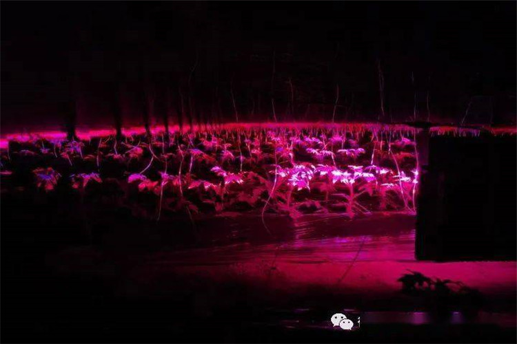 6019158d1b6d2.jpg 2345_image_file_copy_6_副本.jpg