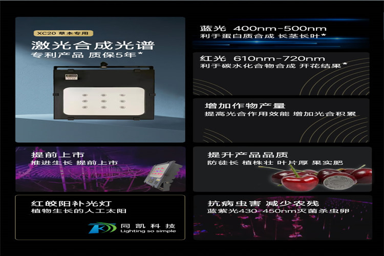 601916176572d.jpg df9f399e583ed38b894dea4583a1181_副本.jpg