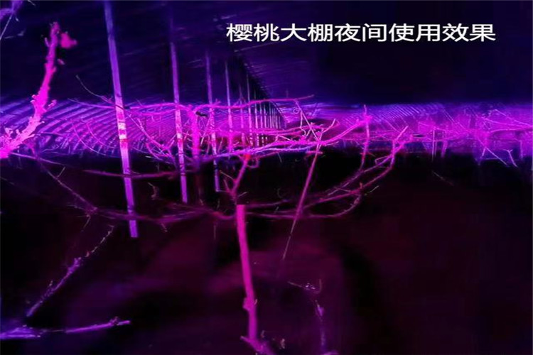 40fe02814914879b7b888e780ab669c_副本.jpg