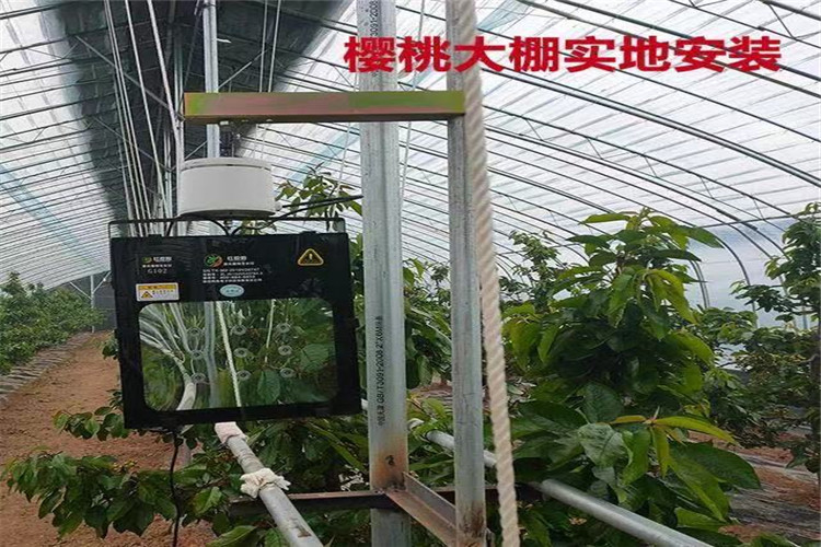 913e97d915bca03206ca93e21ce3ec3_副本.jpg