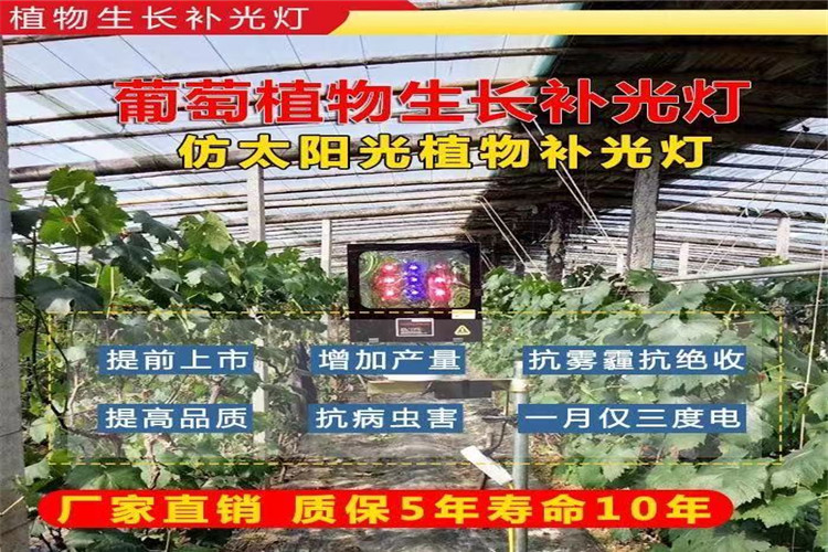 1f5d75d325bd31f30badae5759026a9_副本.jpg