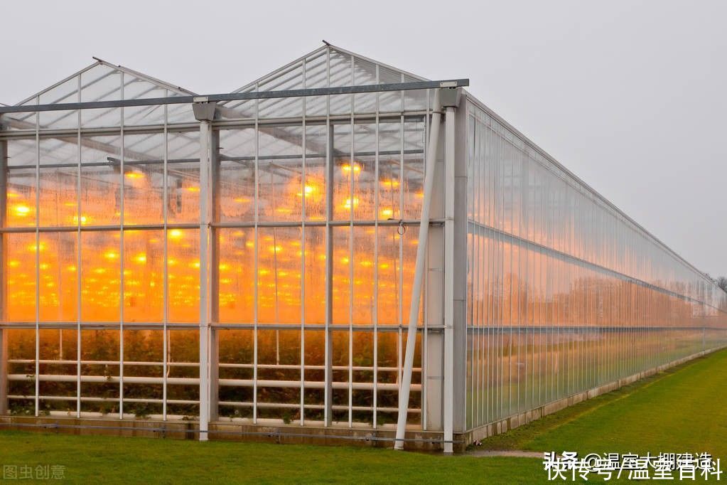 61302d62efc14.jpg t01c3d0471aa386fc71.jpg