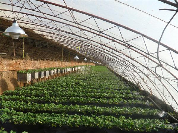 61302d75308c8.jpg 1450094718900643970741.jpg