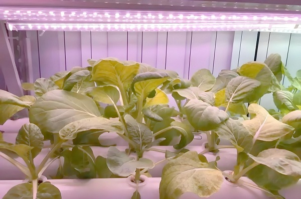 68d49e5bc2447.jpg 3.jpg