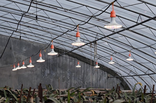 68fc2f9da1285.jpg daee8de6-bf63-4255-8936-380ee8e7aafa.jpg