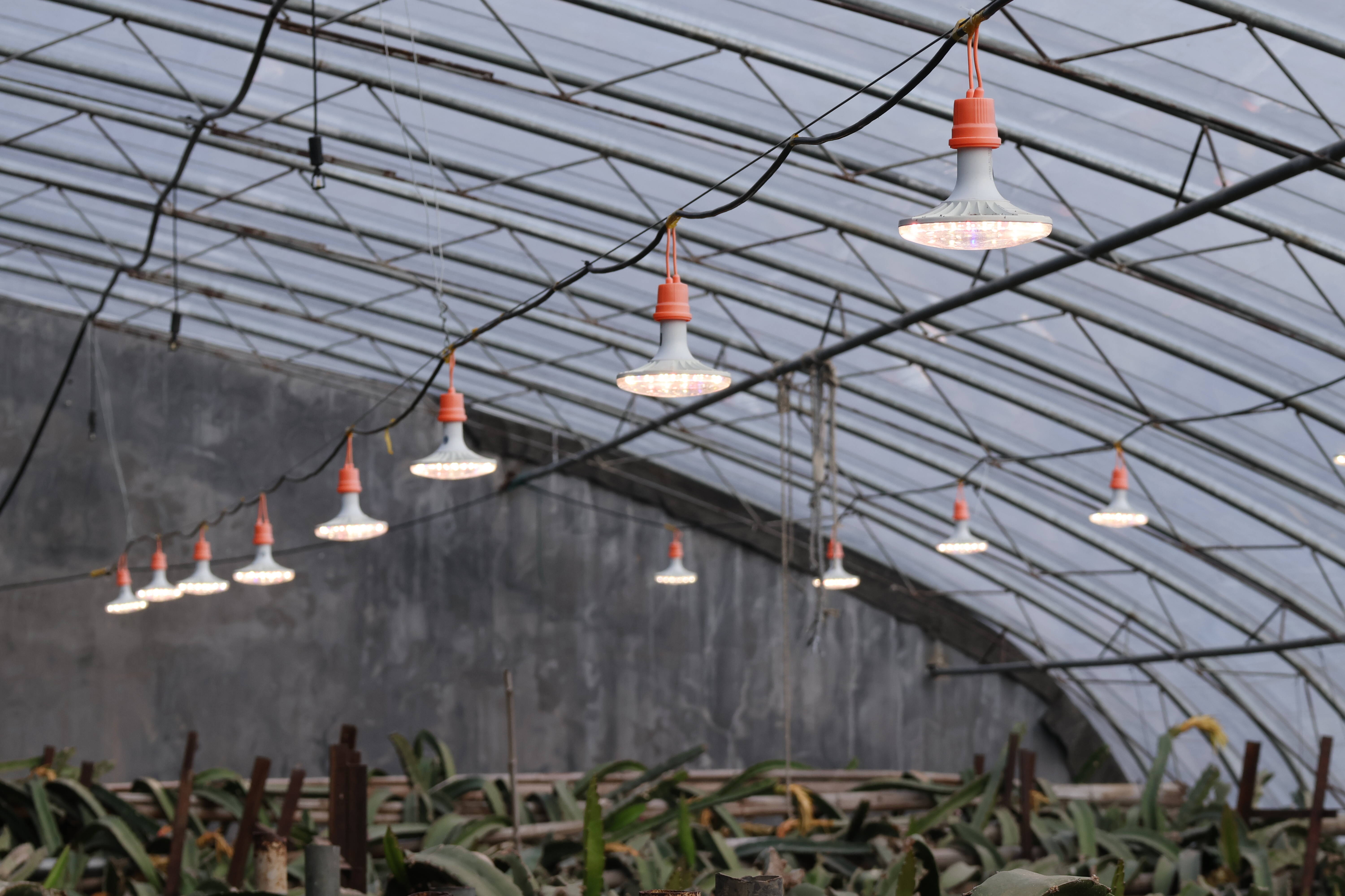 6904278fd8836.png 7a8fa7e268434dbf8d24973367aa3a25.png