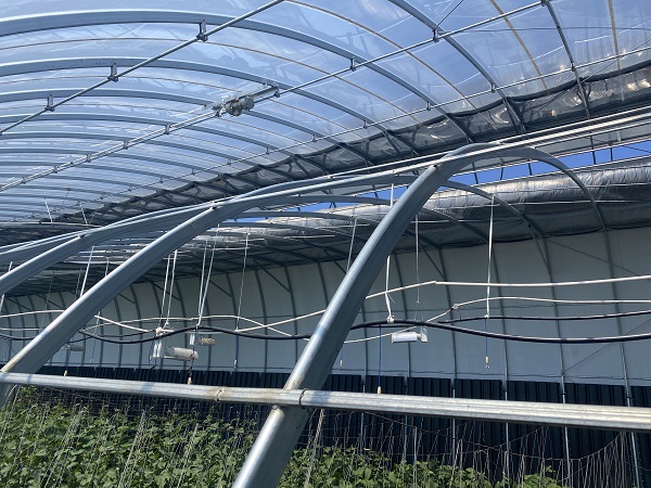 大棚光照度要达到多少