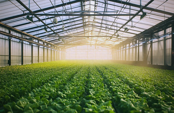 691e9feb29f94.png 3605bb086287f44a385e428e4172eb3d.png