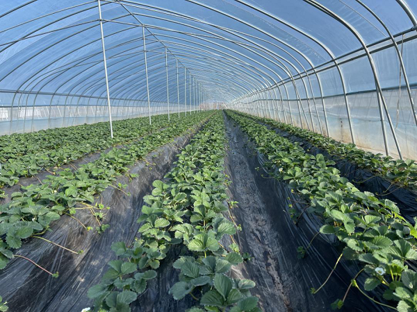 69268b64784a3.png 1.png