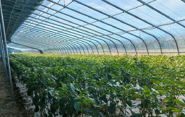 6927d6b7ee435.jpg 11.jpg