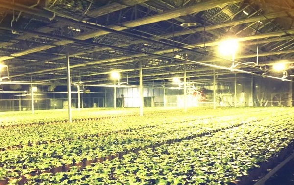 6932668067cfd.jpeg 08e536f34d1325e74ff530d35300630f.jpeg