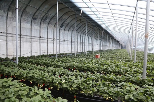 69365a5ea793e.jpg eb85dcde93f72d8c001973cc39116ea4.jpg