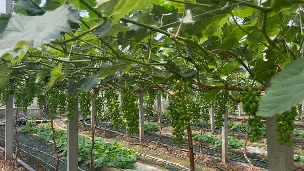 693cff5c5d066.jpg 0751fb8388eb14b778ae28a6a0169abb.jpg